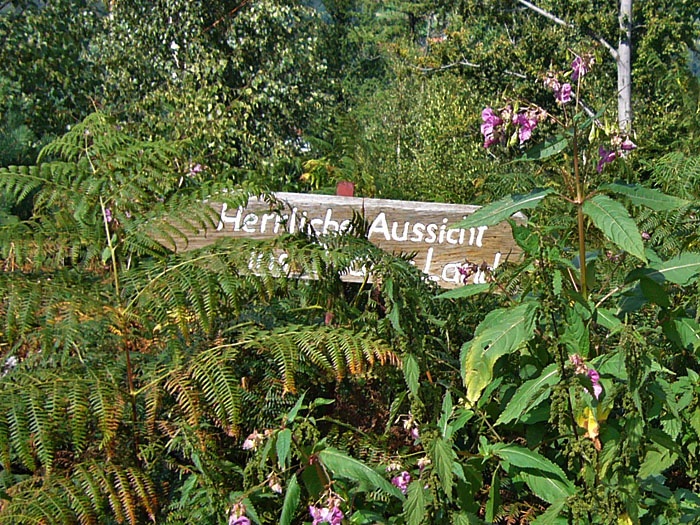 Da steht es wei&szlig; auf Holz: Herrliche Aussicht ins Badnerland!