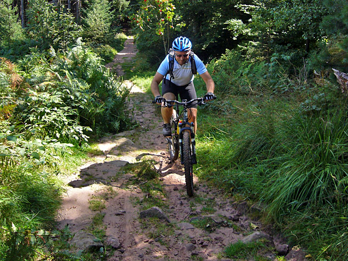 Kurz vor dem Bernsteinfels