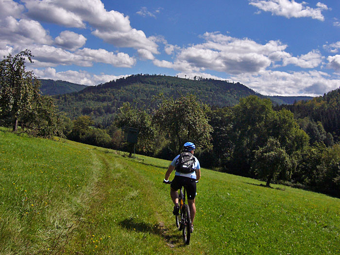 Abfahrt nach Bad Herrenalb