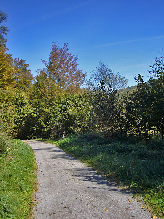 Prima Wetter zum Radeln