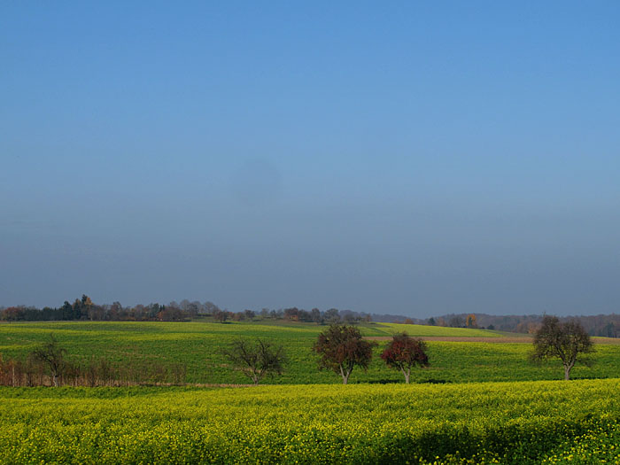 Blick vom Batzenhof Richtung Durlach