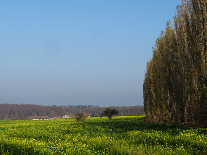 Blick vom Batzenhof Richtung Thomashof
