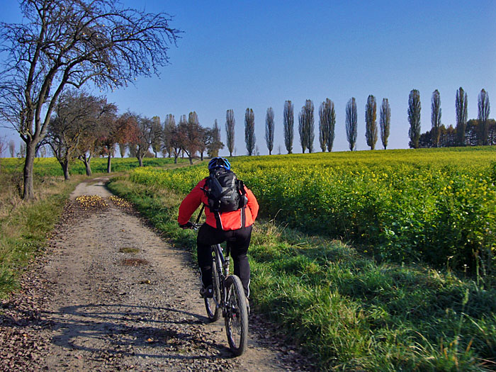 Sch&ouml;ne Landschaft