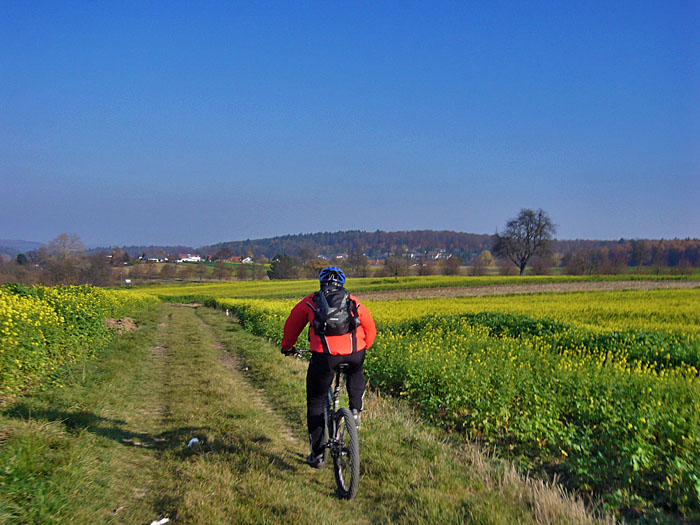 Abfahrt durch die Felder