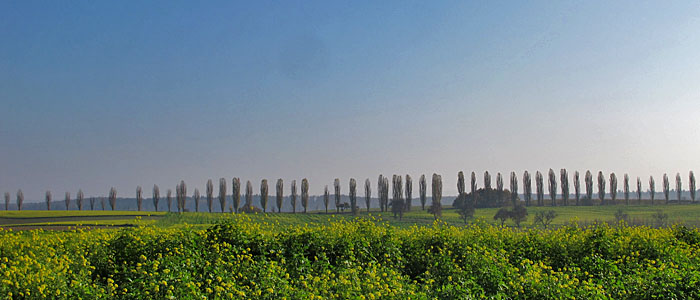 Fast wie in der Toskana