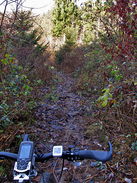 Singletrail zum Kalberklamm