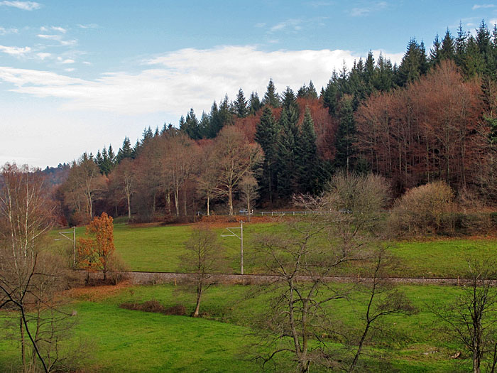 Fahrt durch das Albtal