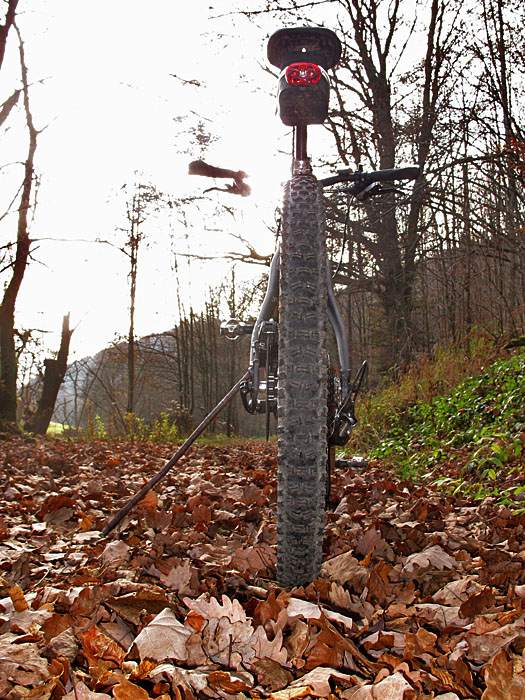 Raschelndes Laub auf allen Wegen