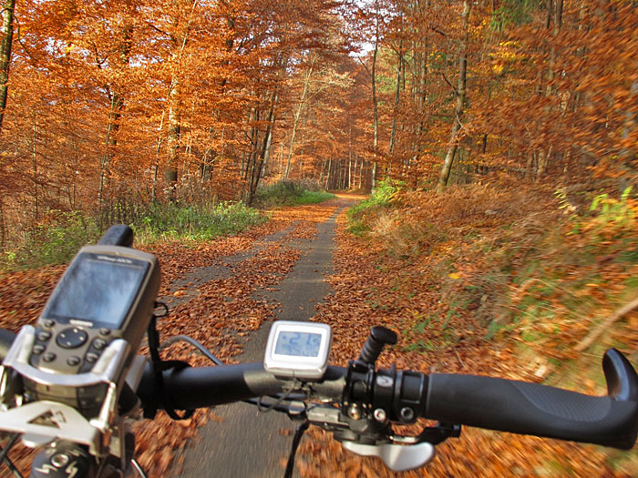 R&uuml;ckfahrt durch herbstlichen Wald