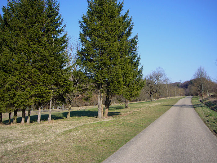 Sieht flach aus, tats�chlich geht es aber gut bergauf