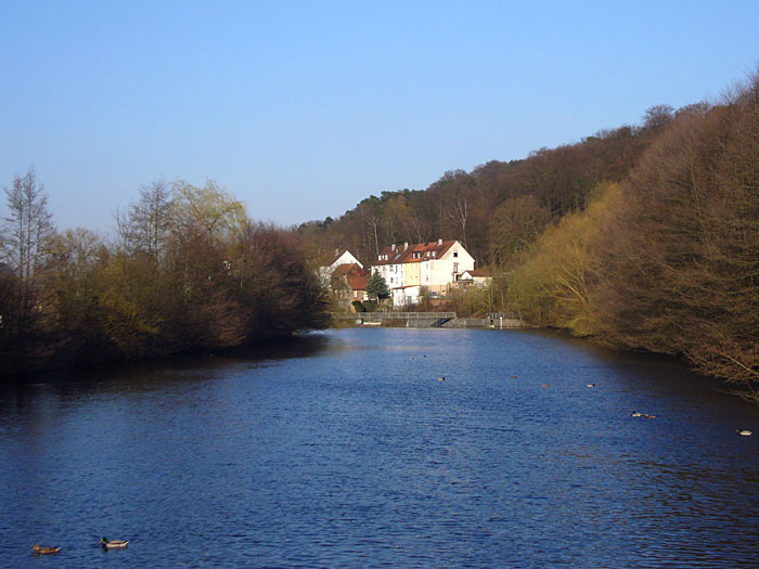 Die Enz bei Eutingen