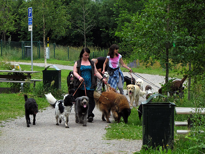 Da ich Angst vor Hunden habe, musste ich diese Stelle weitr&auml;umig umfahren ;-)