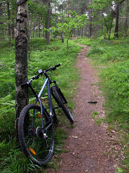 Endlich ist der Asphalt weg ;-)