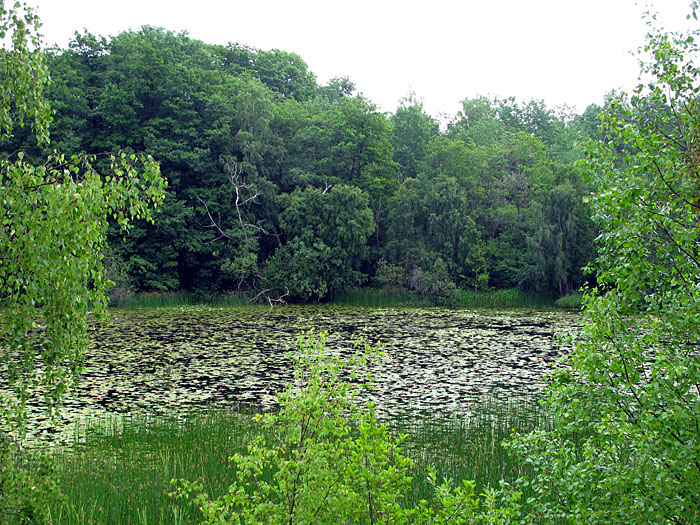 Einer der vielen Seen
