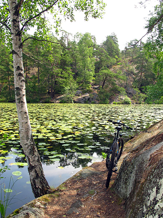 Hier war der Pfad zuende, ich musste rechts den Felsen hinauf