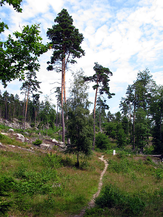 Es wird wieder schmaler
