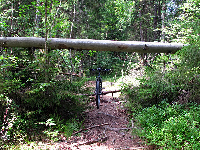 Zum Gl&uuml;ck hab' ich die Kettens&auml;ge dabei ;-)