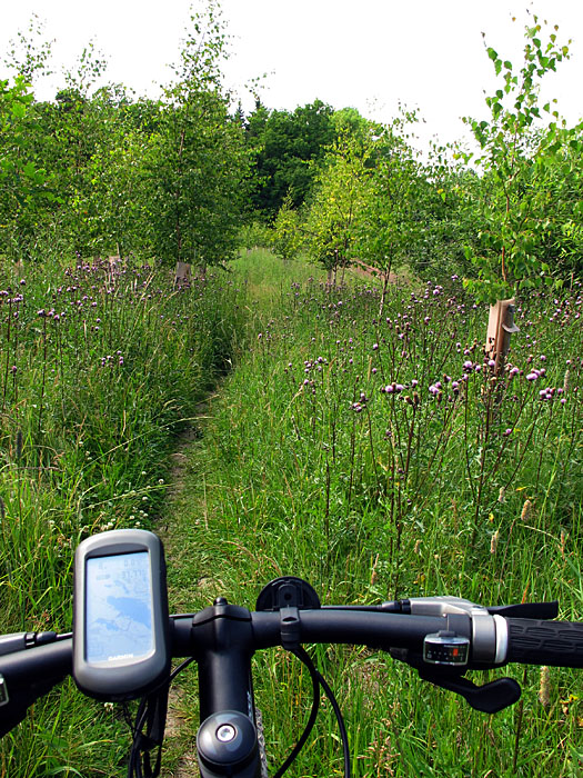 Gleich kitzelt es an den Beinen