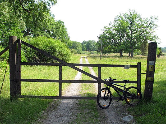 Ab und zu muss man den Weg erst frei machen