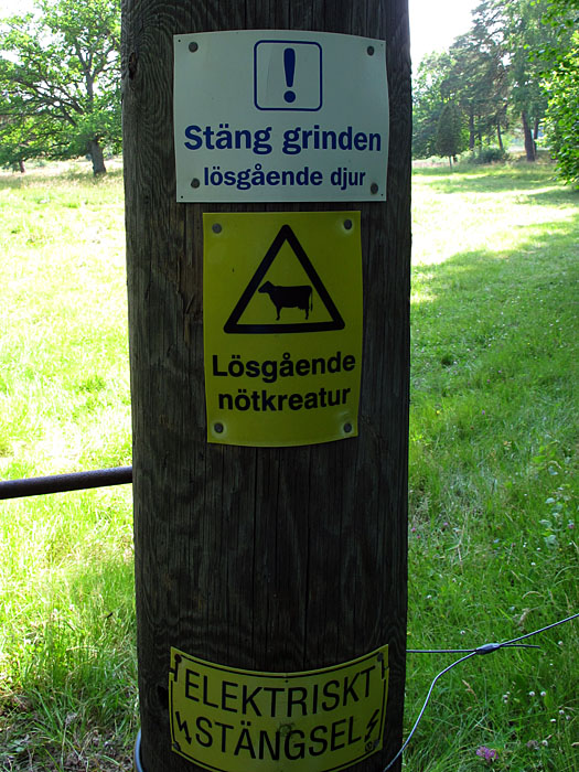 Die N&ouml;tkreaturen sind los ;-)