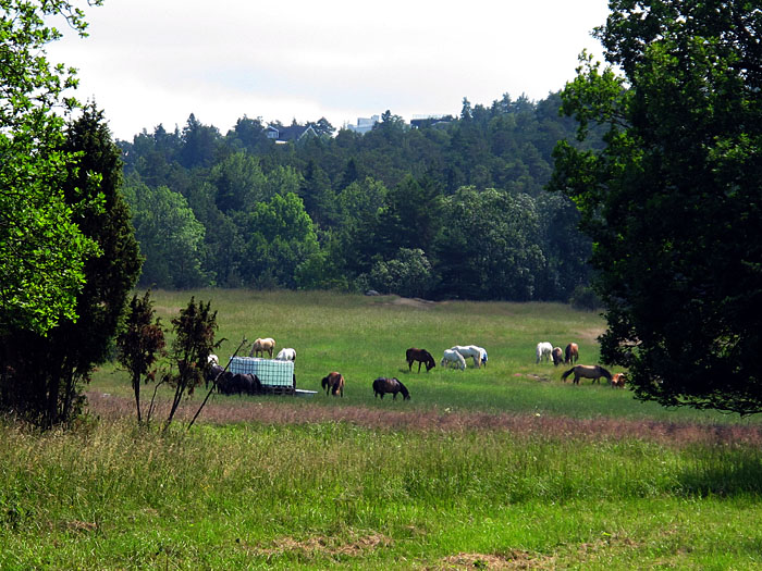 Da hinten sind die Kreaturen auch schon, zum Gl&uuml;ck weit weg