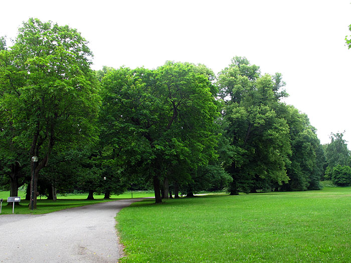 Am Morgen ist der Hagaparkern noch ziemlich leer