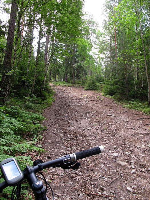 Endlich wird der Weg anspruchsvoller ...