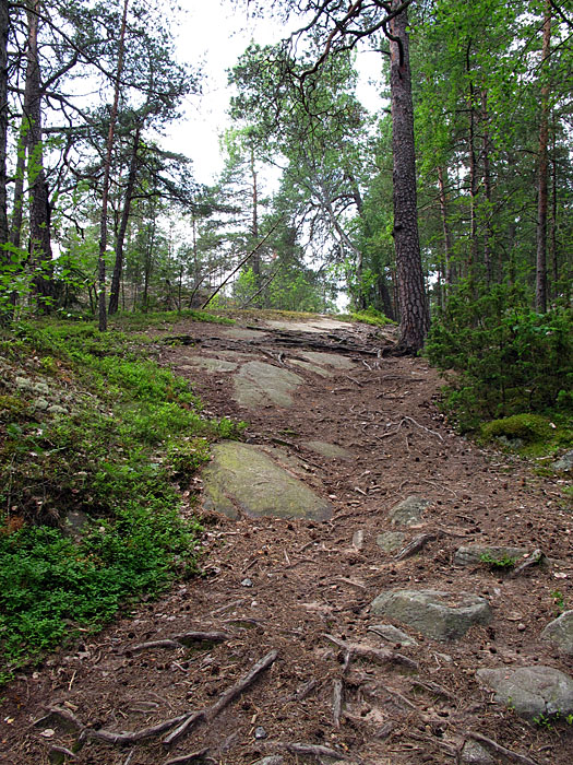 ... Mist, der Weg wird anspruchsvoller ;-)
