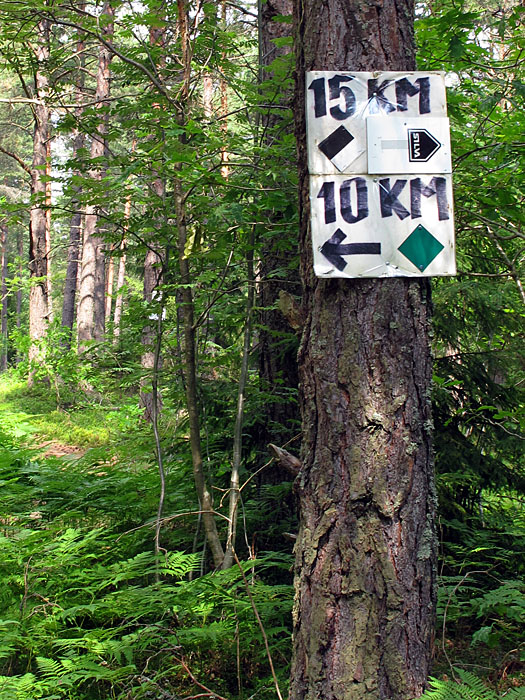 Und nat&uuml;rlich auch die lange Version