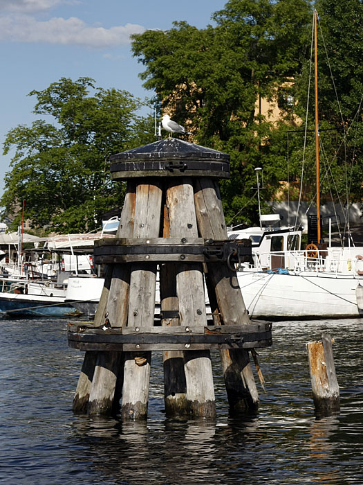 Aussichtsturm f&uuml;r M&ouml;wen ;-)