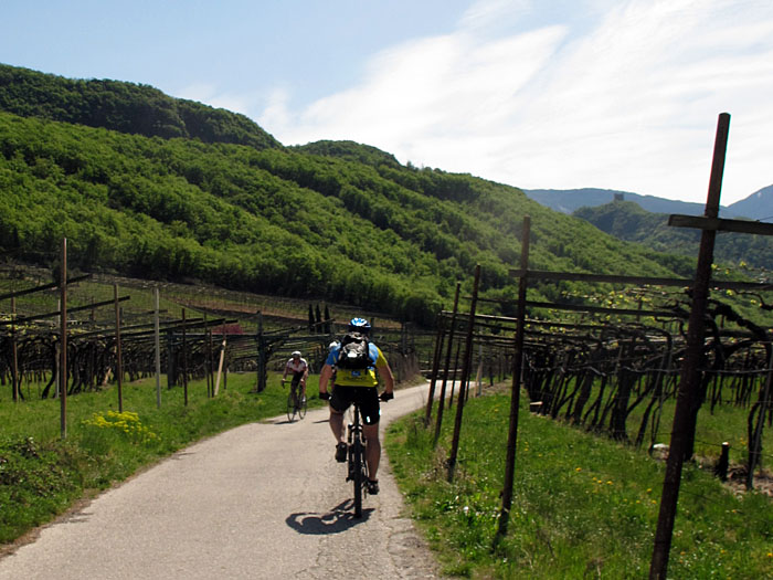 Fahrt Richtung Kalterer See