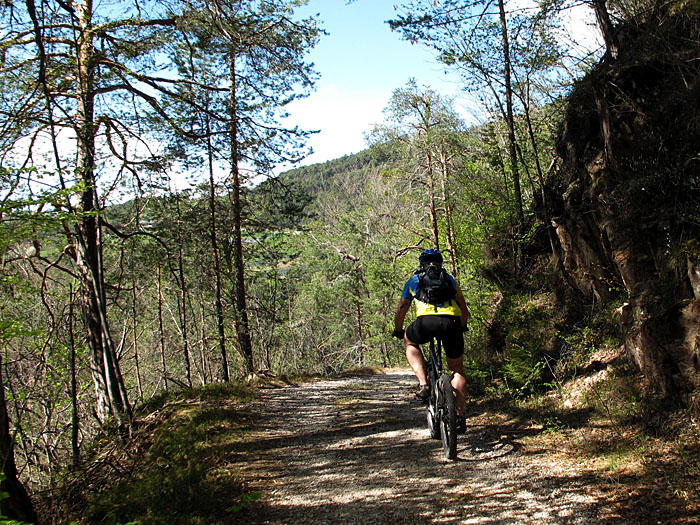 Ab durch den Wald