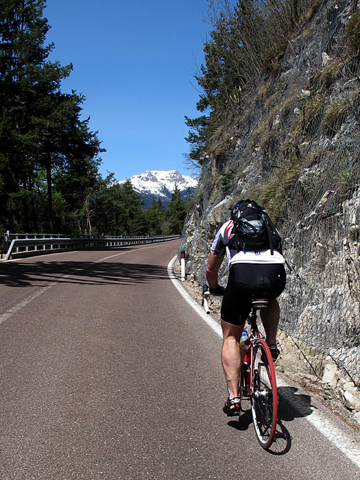 Im Hintergrund die schneebedeckte Texelgruppe