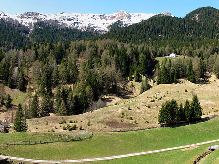 ... schöne Landschaft!