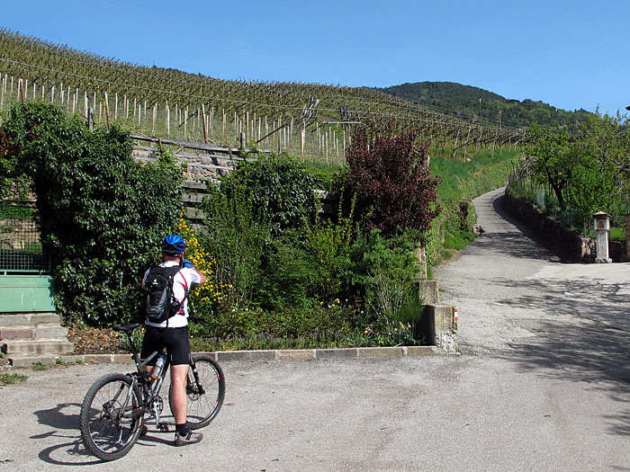 Viele enge Kehren f&uuml;hren nach oben