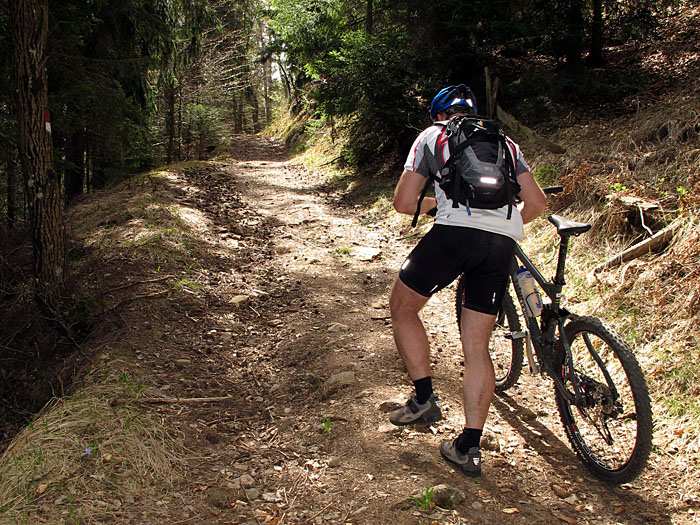 Ich glaube, heute haben wir ...