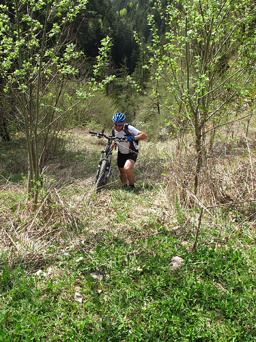 Reini k&auml;mpft sich nach oben