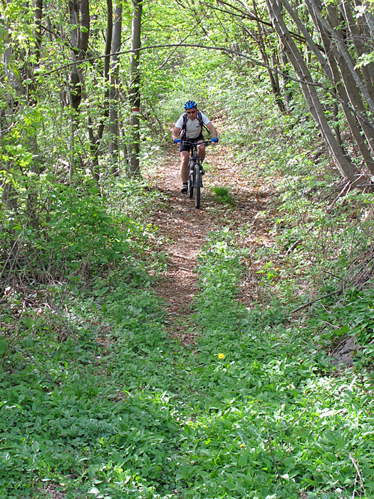 Doch die kleinen Waldwege nehmen wir gerne mit