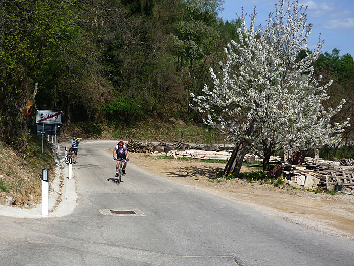 Bl&uuml;tenpracht an der Strecke