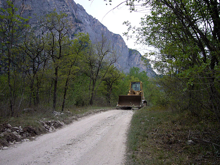 Doch es kommt noch schlimmer, die Raupe ...