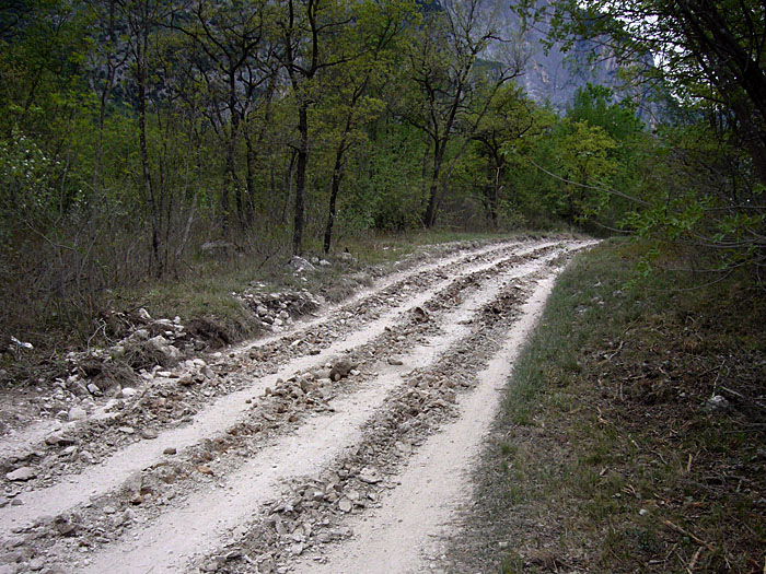 zackert den Schotterweg (warum auch immer) auch noch auf :-(