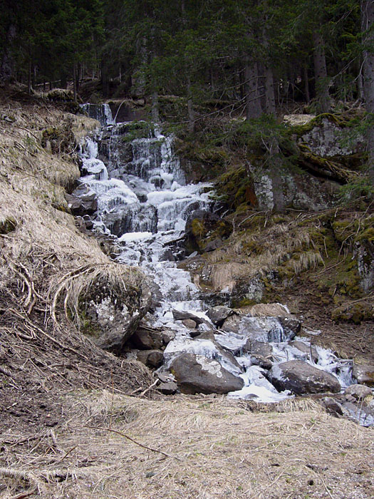 Vereister Bachlauf