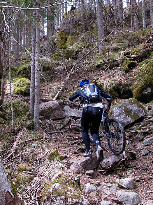 Und wieder tragen ...