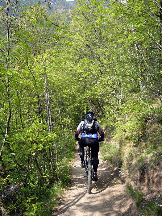 Singletrail nach Altenburg