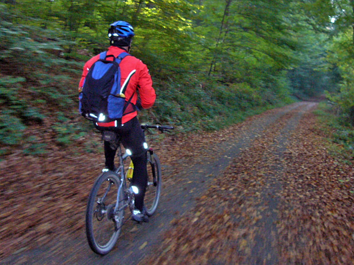 Durch den Wald nach Bad Herrenalb