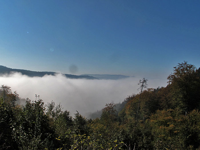 Blick vom K&auml;ppele nach Loffenau