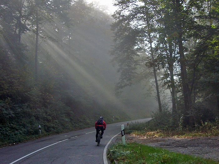 Die Sonnenstrahlen k&auml;mpfen sich durch den Nebel