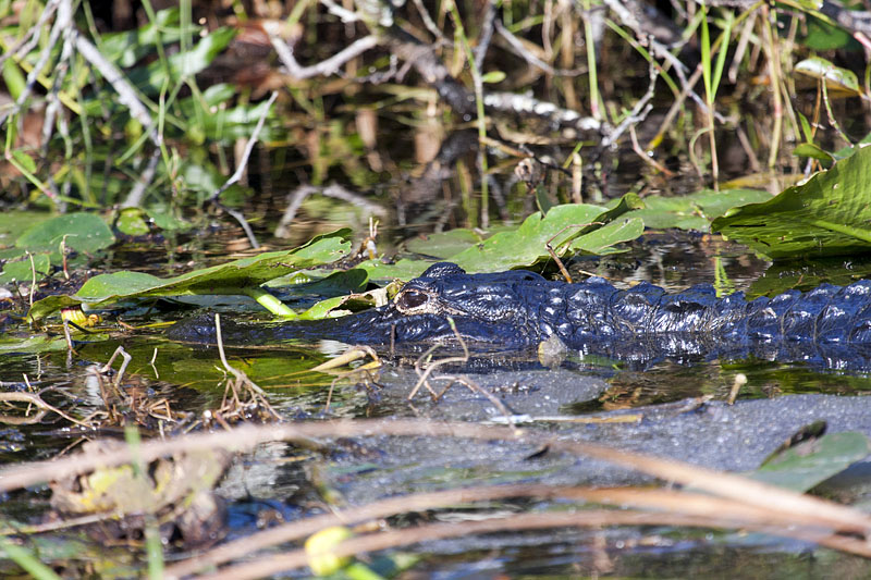 Ah, die erste "Handtasche" ist in Sicht ;-)