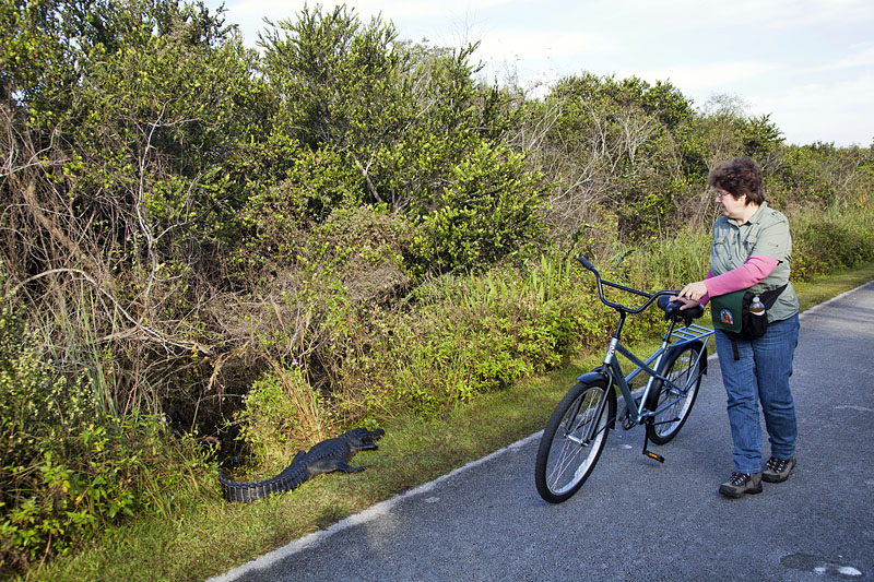Es ist gut, dass st&auml;hlerne Rad zwischen sich und den Z&auml;hnen zu wissen ;-)