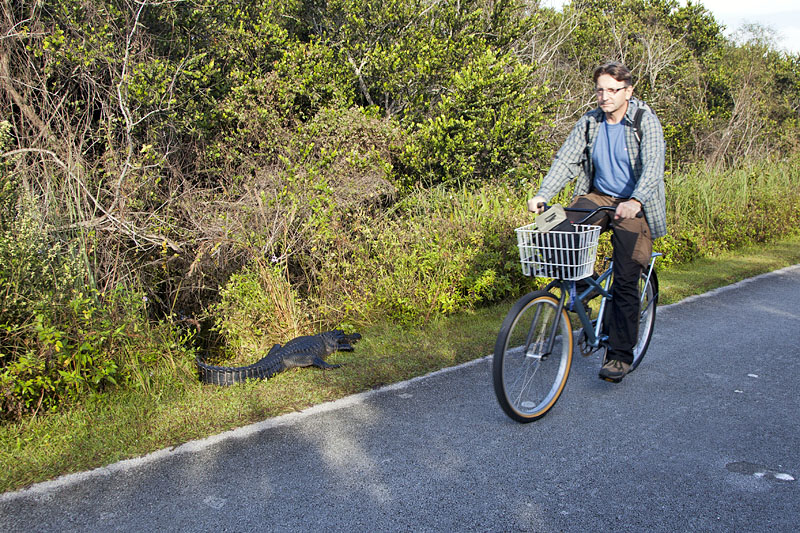 Mountainbiketouren 2012